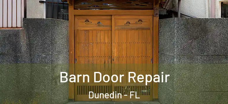 Barn Door Repair Dunedin - FL