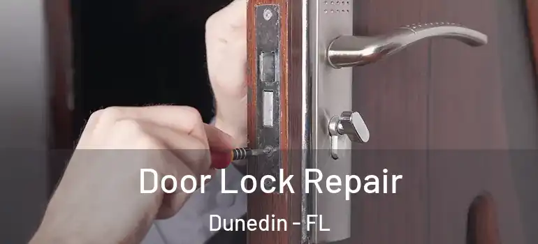 Door Lock Repair Dunedin - FL
