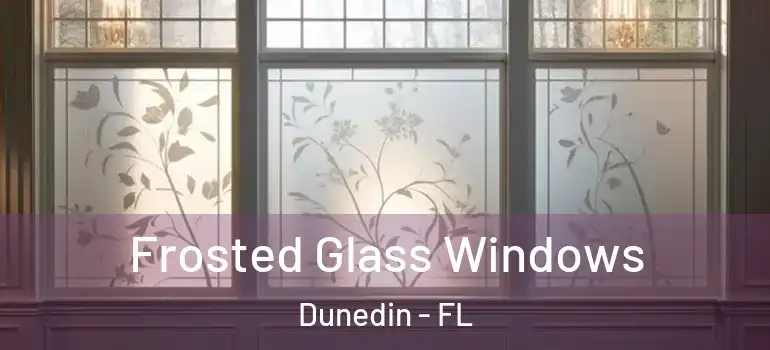  Frosted Glass Windows Dunedin - FL
