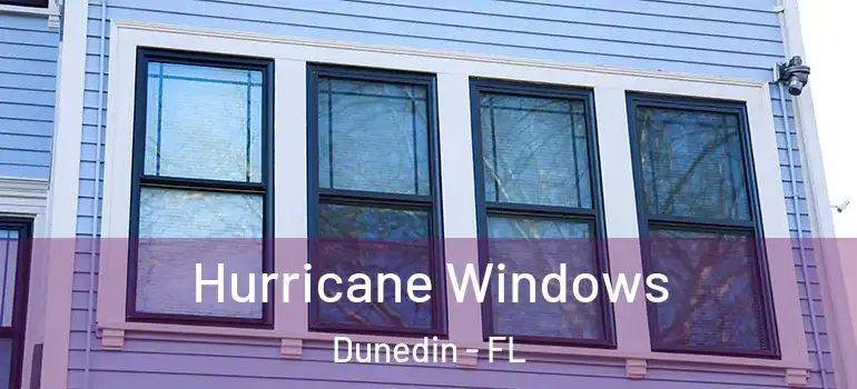  Hurricane Windows Dunedin - FL