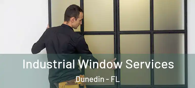 Industrial Window Services Dunedin - FL