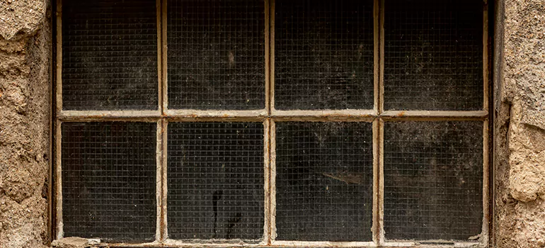 Traditional Double Front Doors in Dunedin, FL