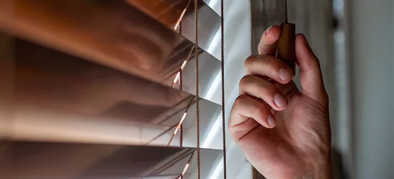 Double Roller Blinds in Dunedin, FL