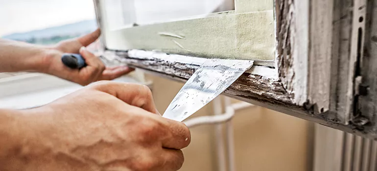 Exterior Window Frame Repair in Dunedin, FL