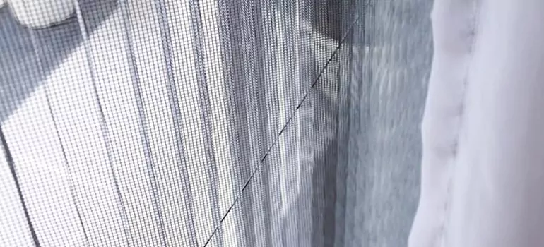 Fixing Screen Window Mesh in Dunedin, FL