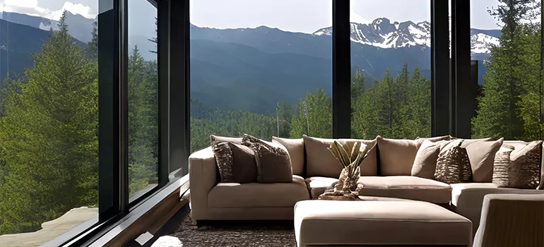 Picture Window Maintenance in Dunedin, FL