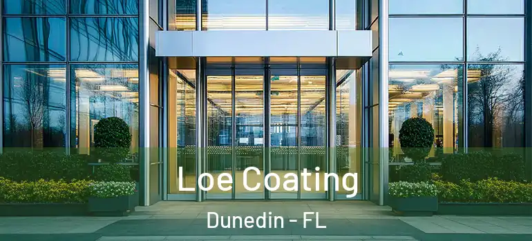  Loe Coating Dunedin - FL