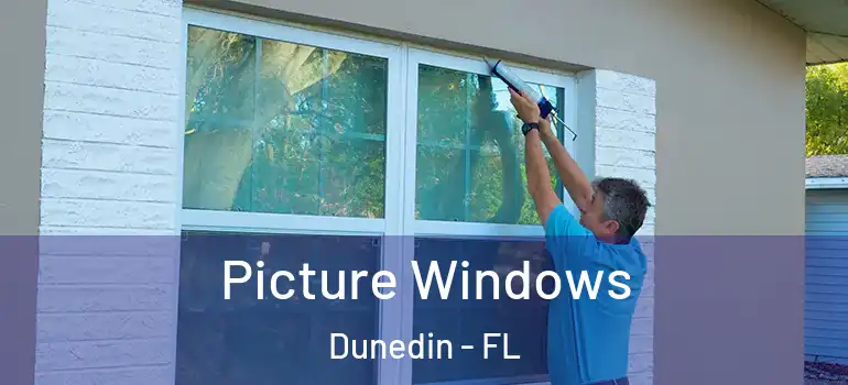  Picture Windows Dunedin - FL