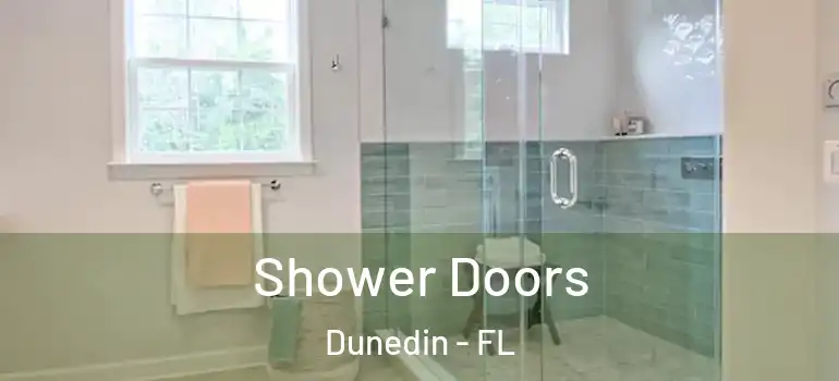 Shower Doors Dunedin - FL