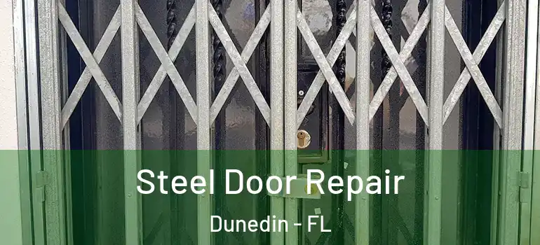 Steel Door Repair Dunedin - FL