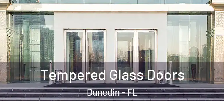 Tempered Glass Doors Dunedin - FL