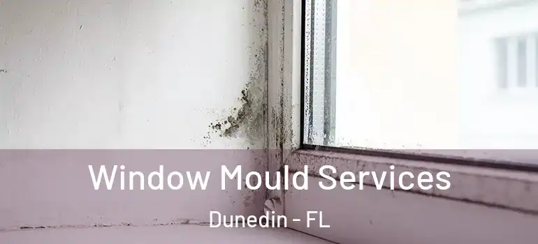  Window Mould Services Dunedin - FL