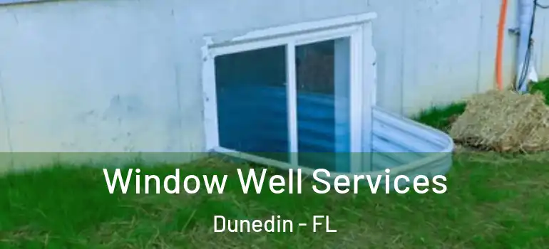  Window Well Services Dunedin - FL